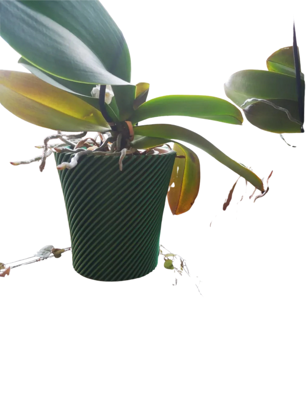 Orchid Pot Planter Vase