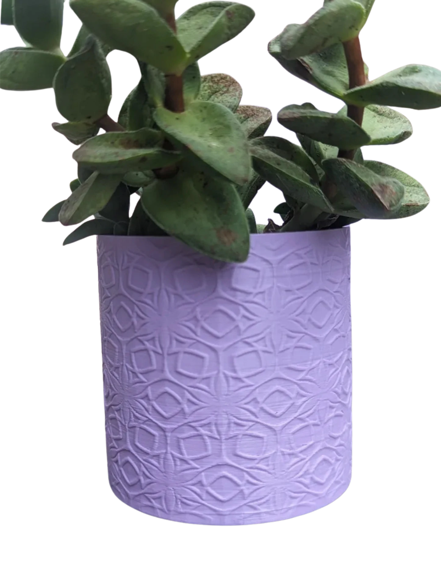 Flower of life planter