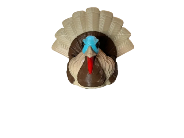 Turkey