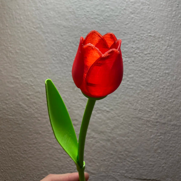 Beautiful Tulip With Stem - Valentine’s day Gift Remixed