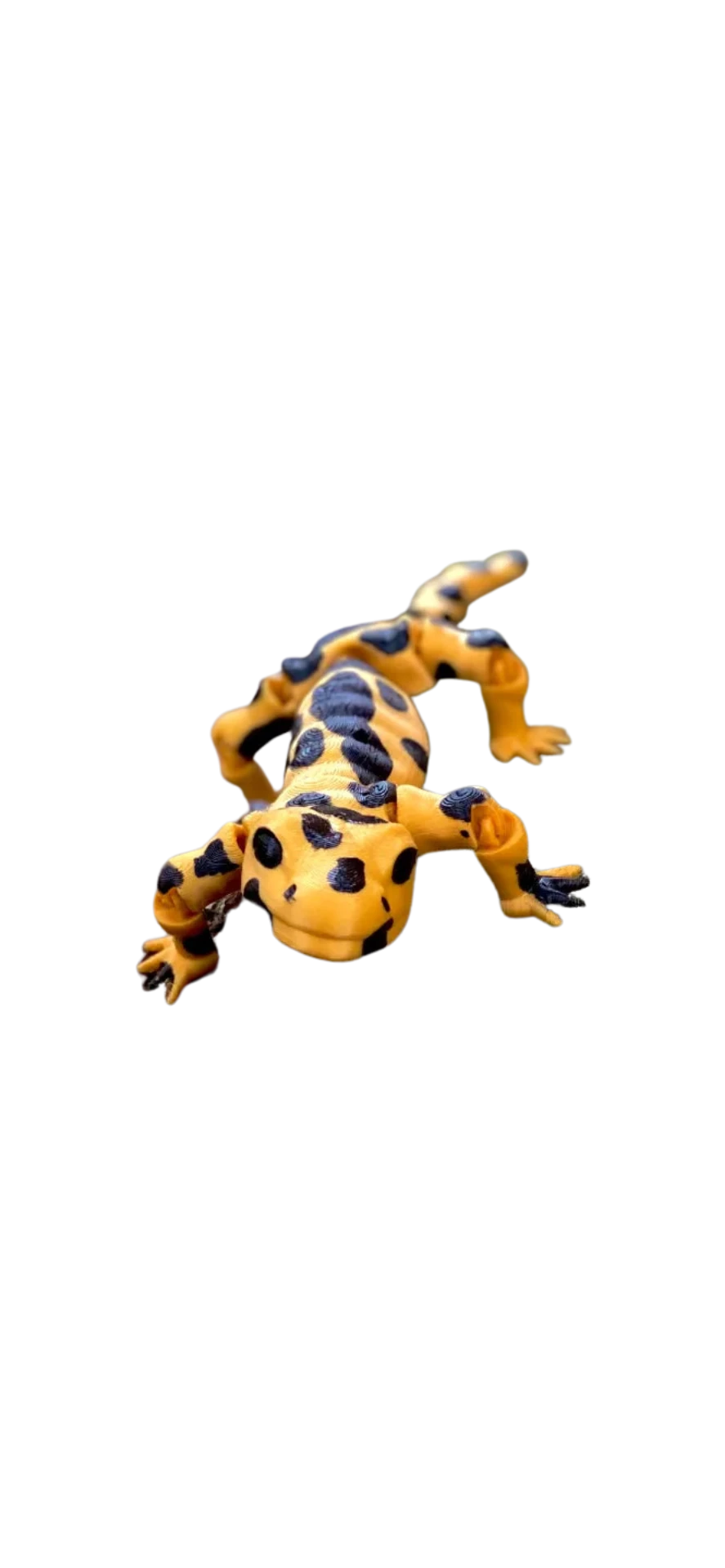 Flexi Salamander