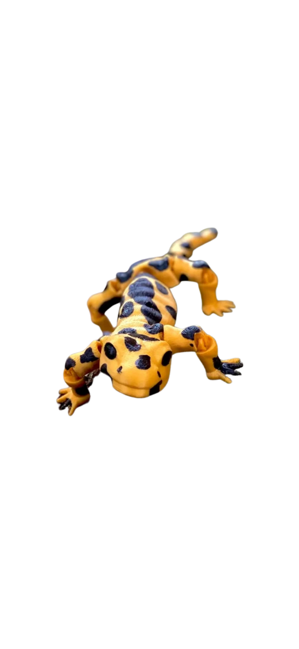Flexi Salamander