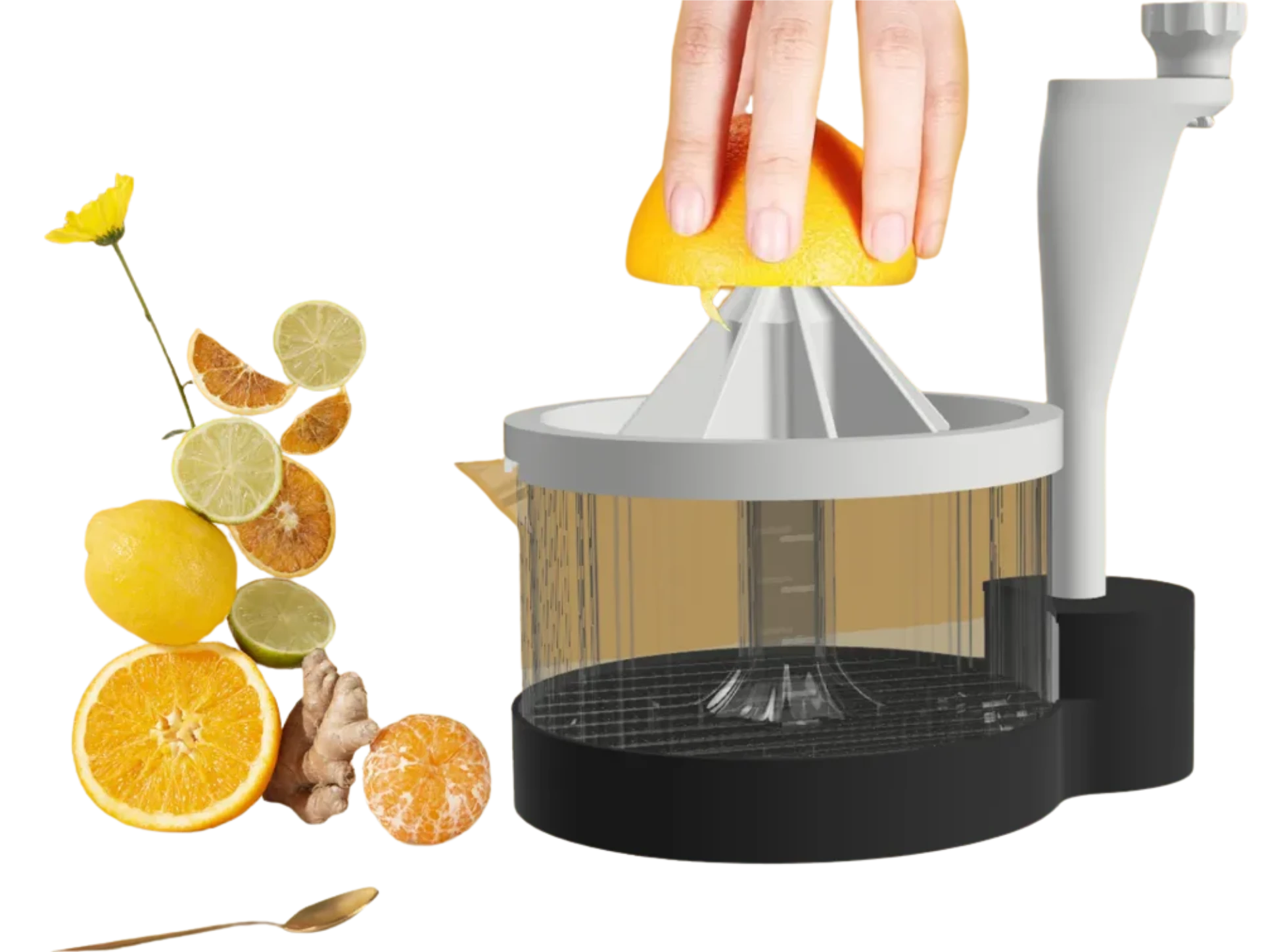 CITRUS JUICER