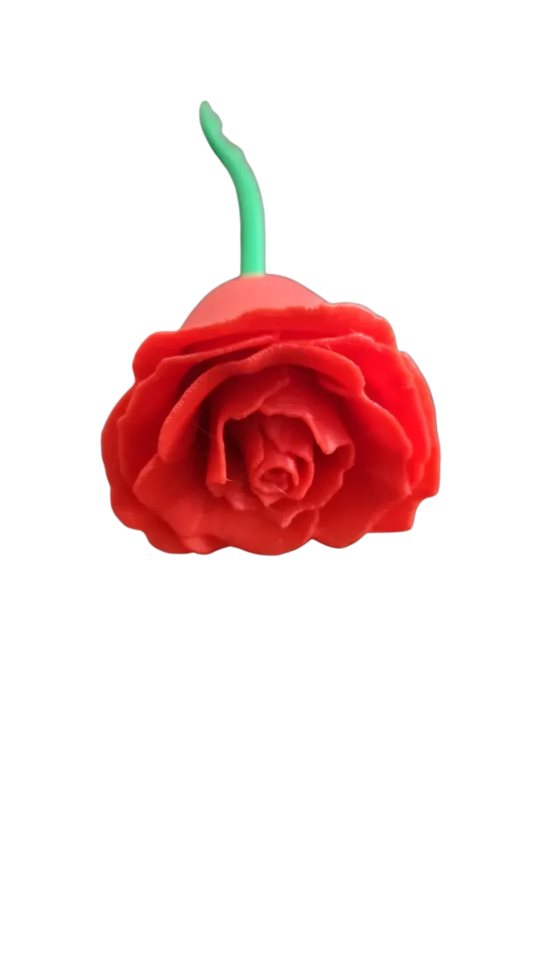 rose whit removable stem   Remixed