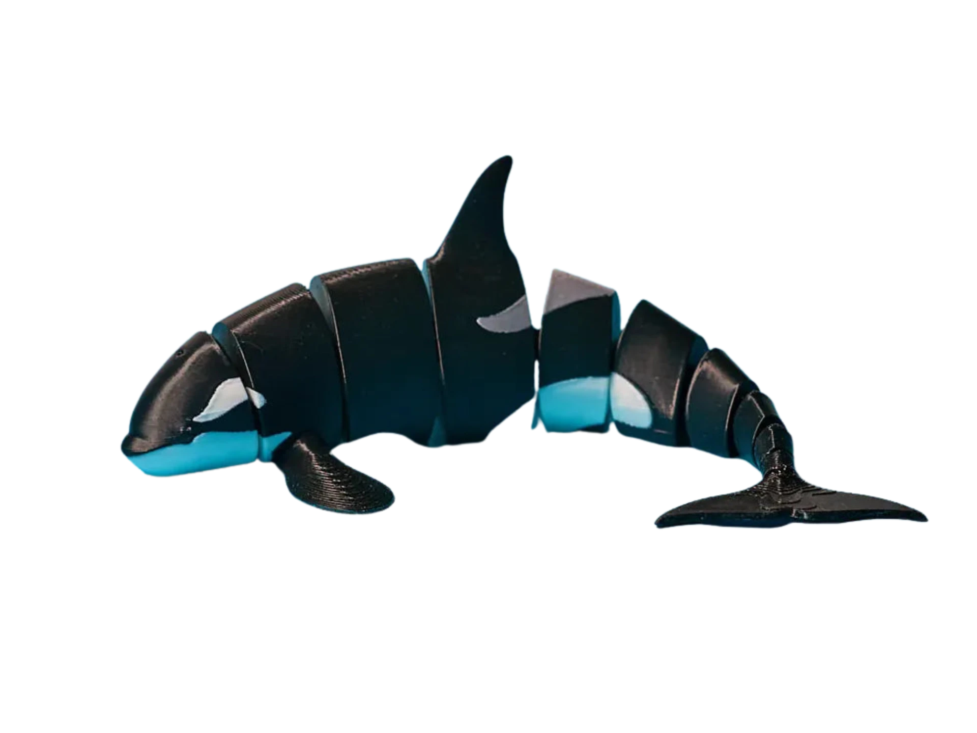 Articulated Orca