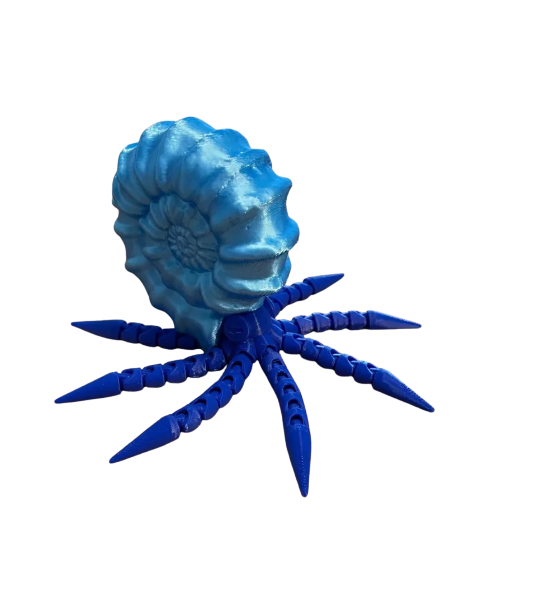 Articulated Ammonite Remixed
