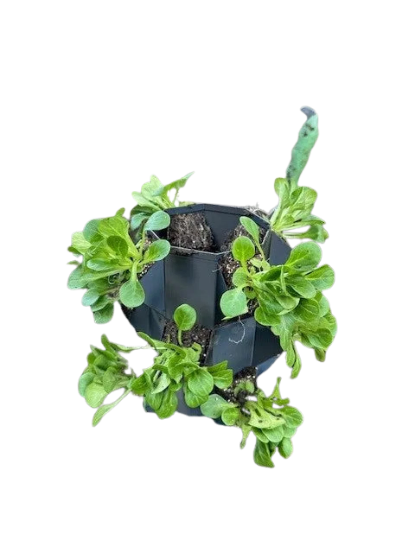 growtower, planttower, tower plant, planter,