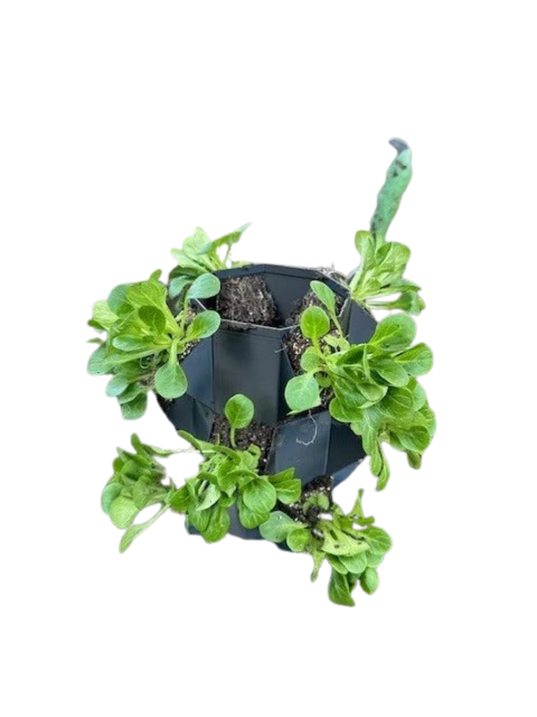growtower, planttower, tower plant, planter,