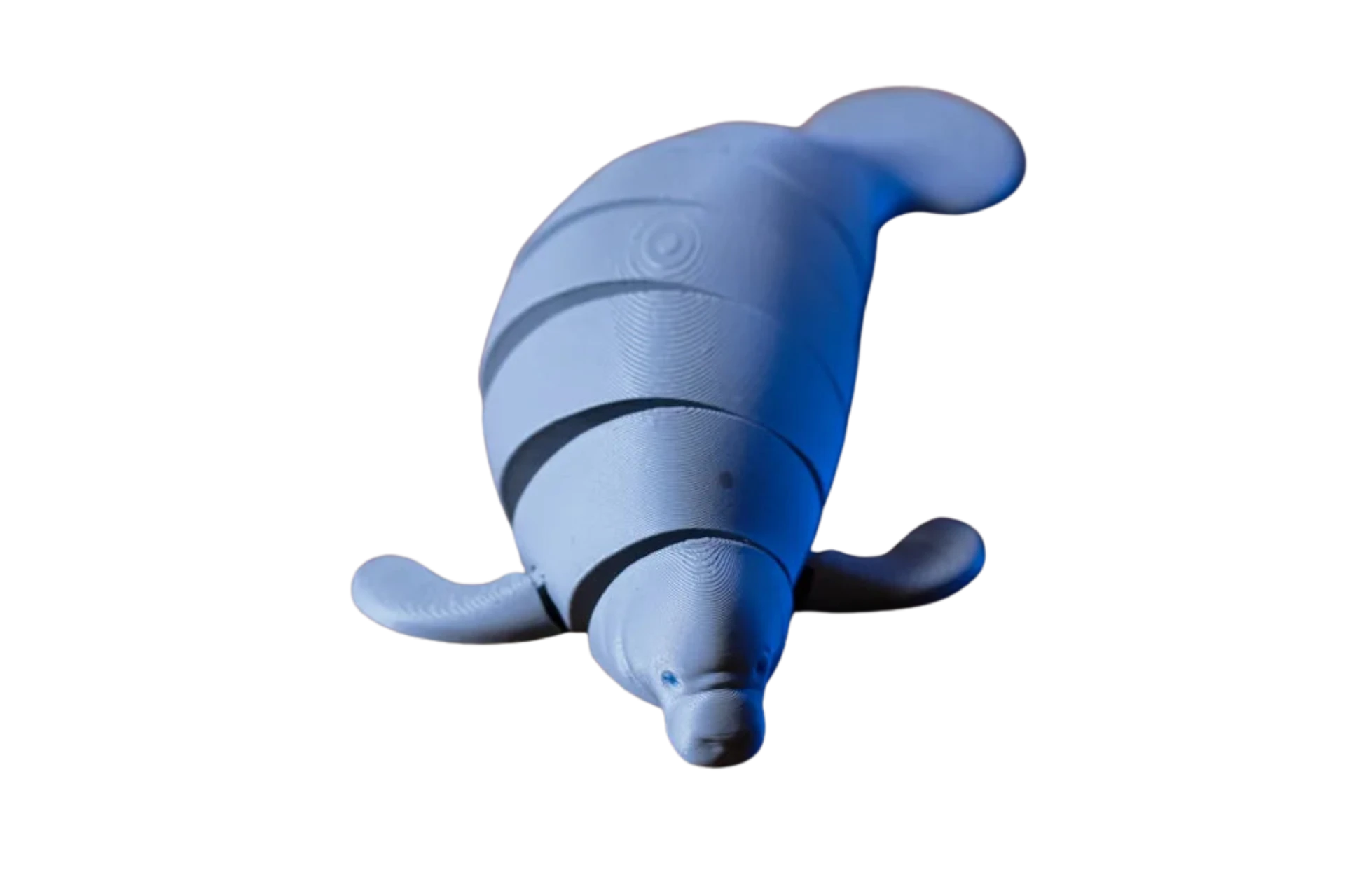 Articulated Manatee