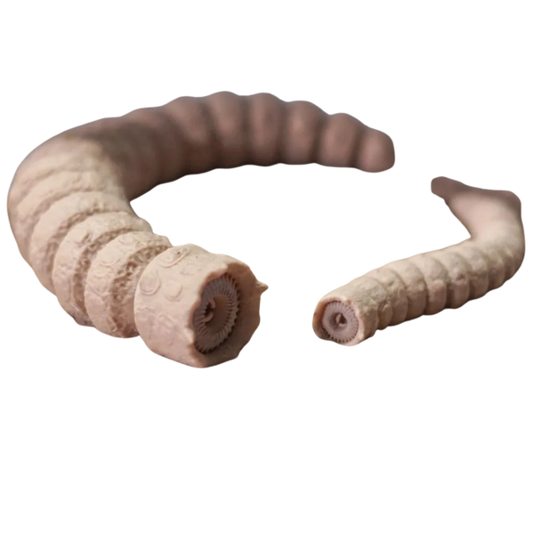 Dune Flexi Sandworm. Print in Place. Support.