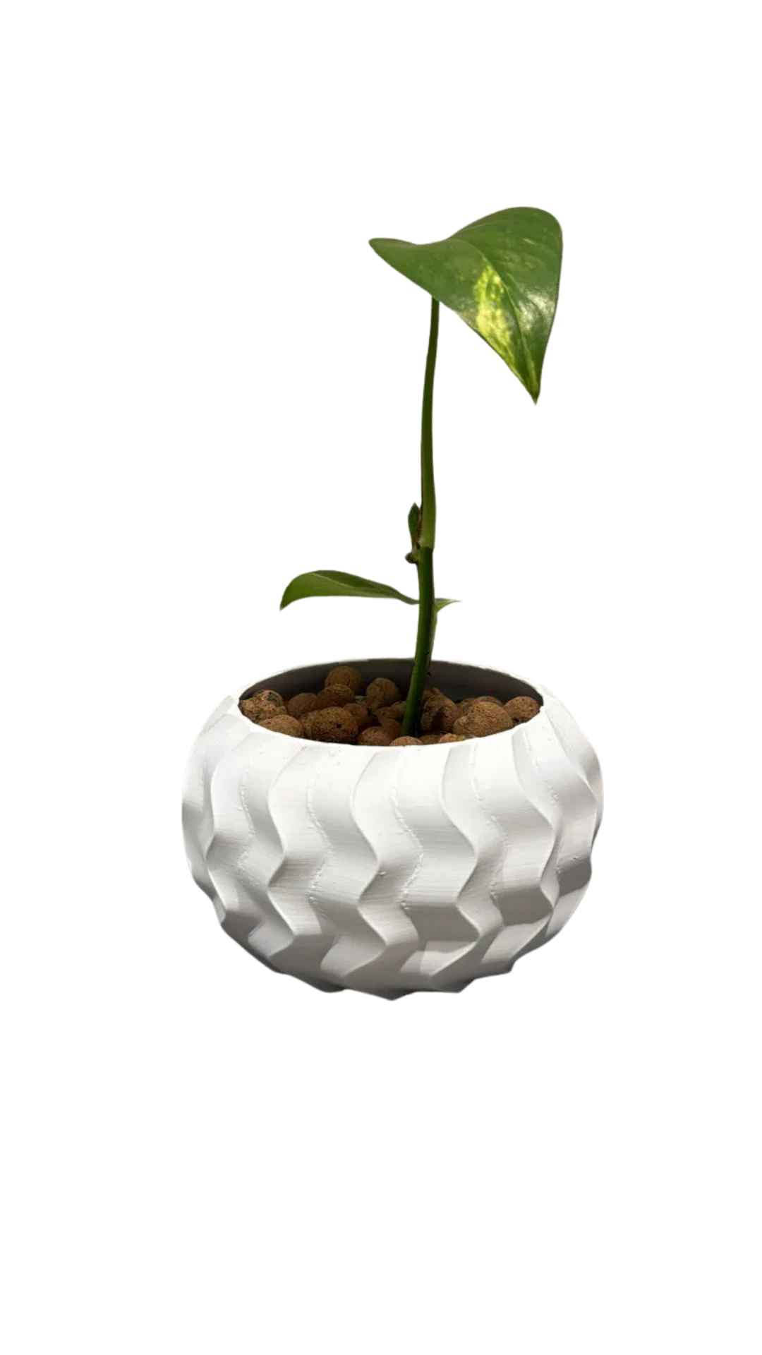 Wavy plat pot / flower pot