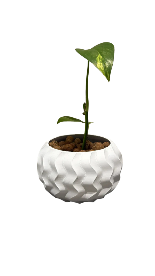 Wavy plat pot / flower pot