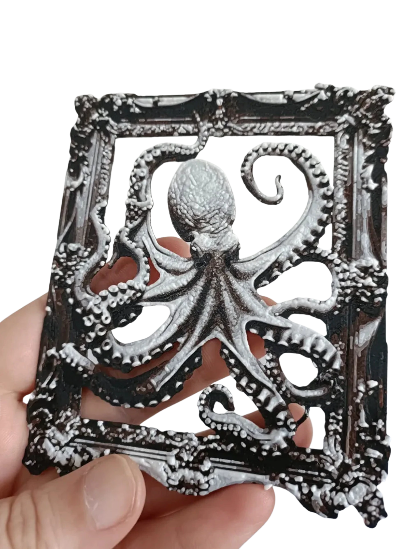 Octopus in Frame
