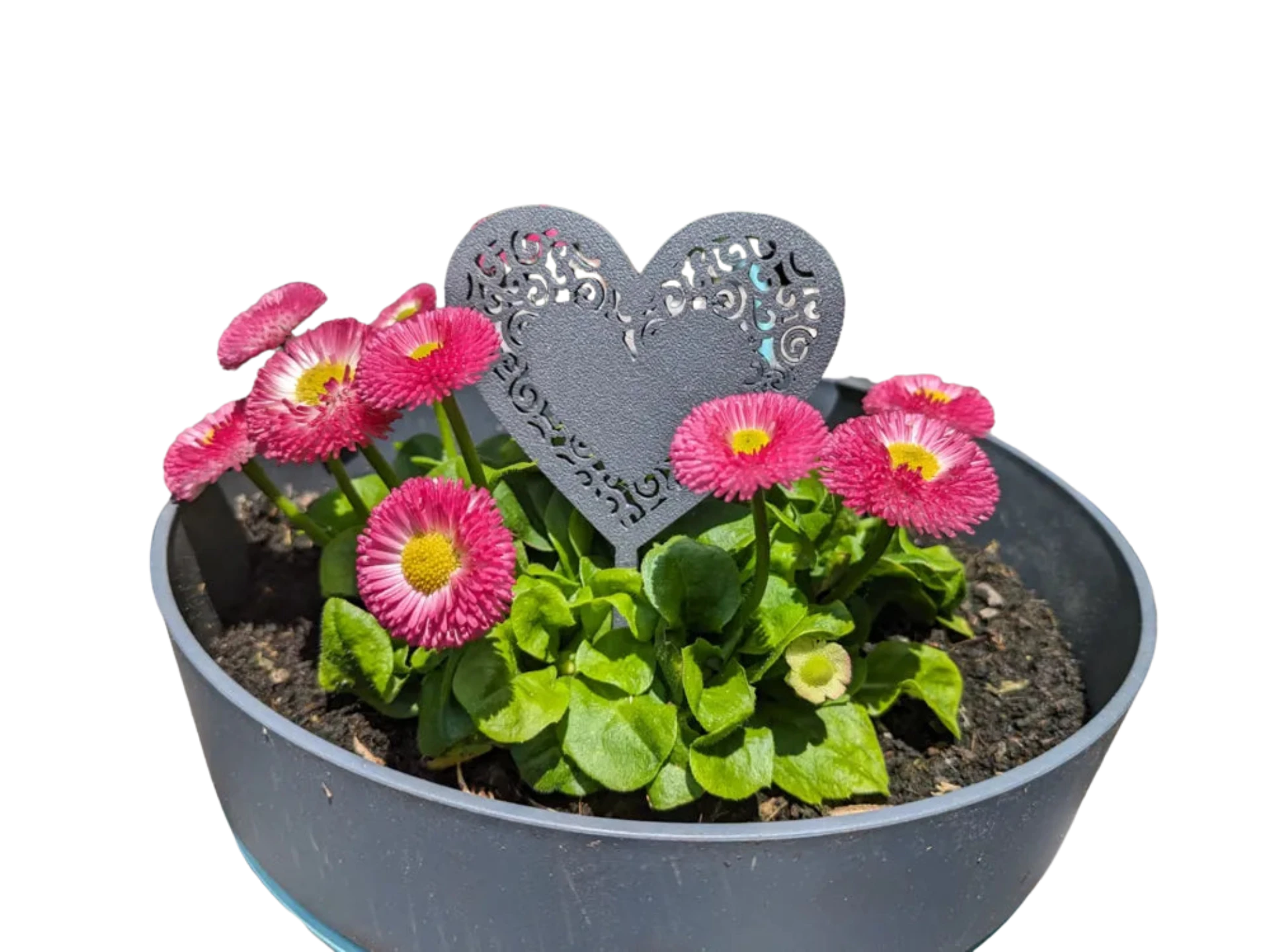 Heart Cake Topper / Plant Stake