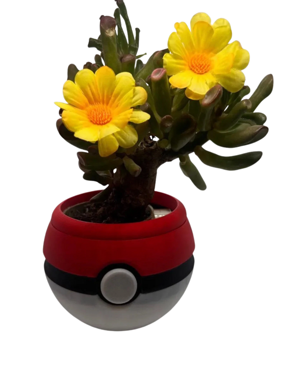 Pokeball Planter Pokémon