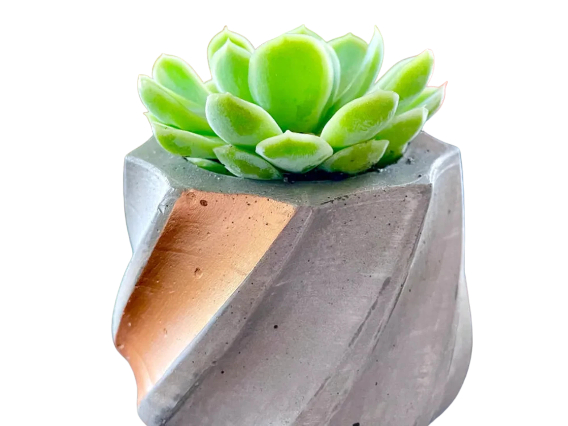 Make your own concrete planter! 1 Single printbed! Remixed