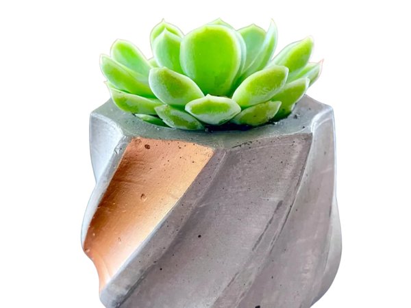 Make your own concrete planter! 1 Single printbed! Remixed