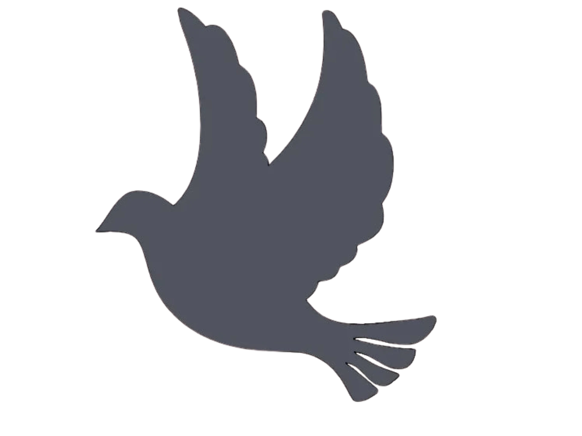 Dove