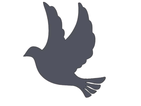 Dove