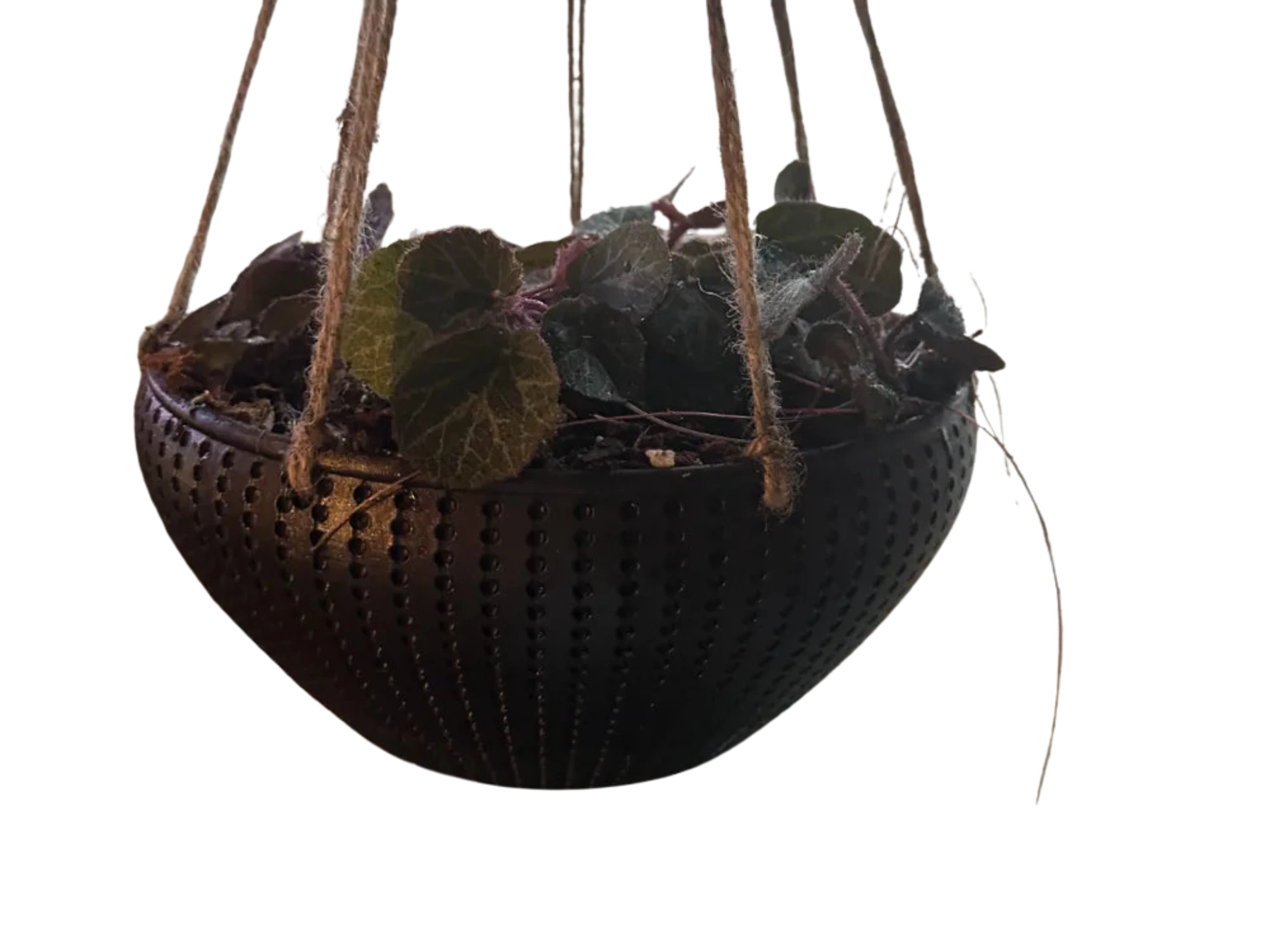Hanging Planter with twist drip pan