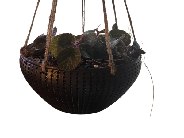 Hanging Planter with twist drip pan