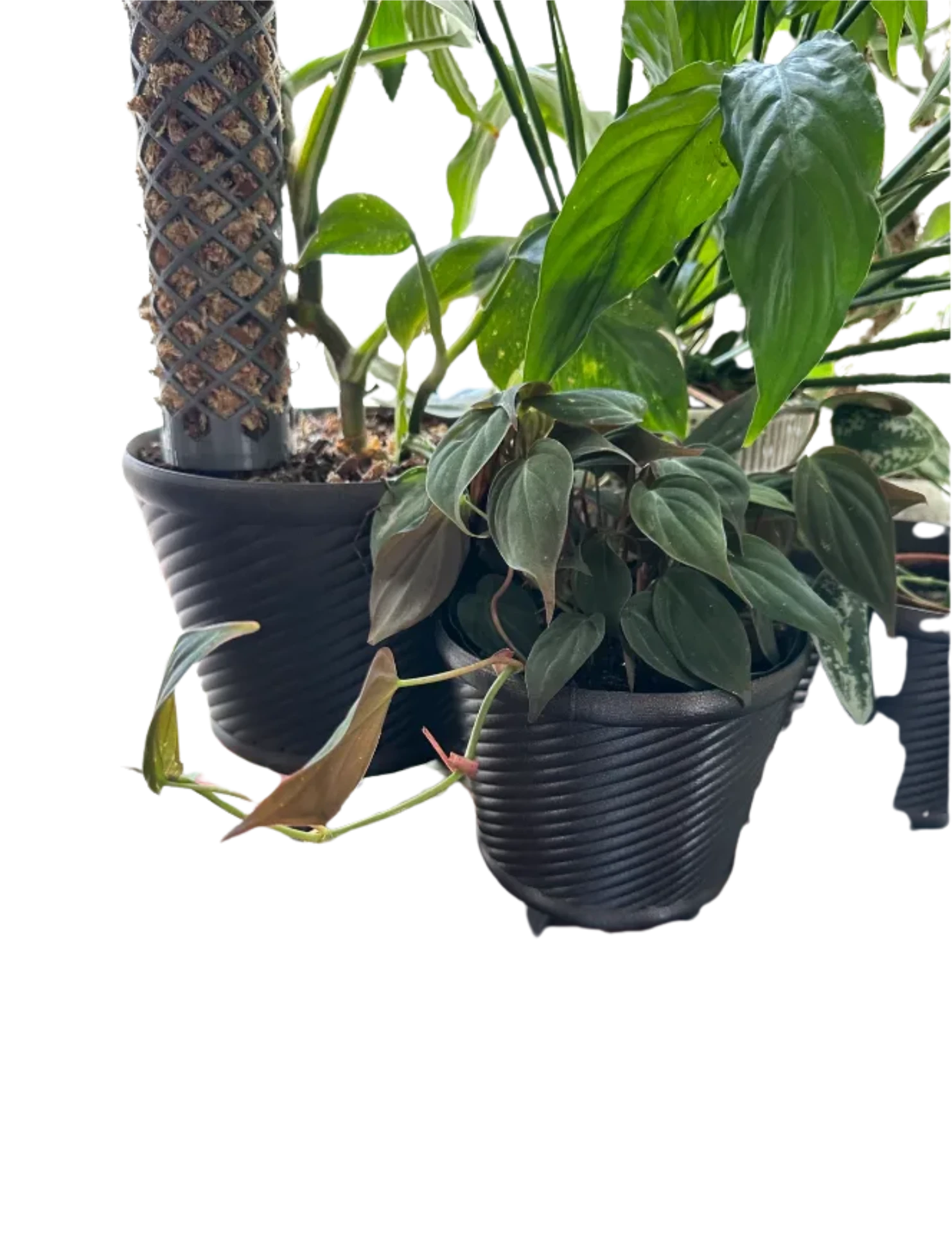 Spiral Planter with Locking Bottom & Optional Legs