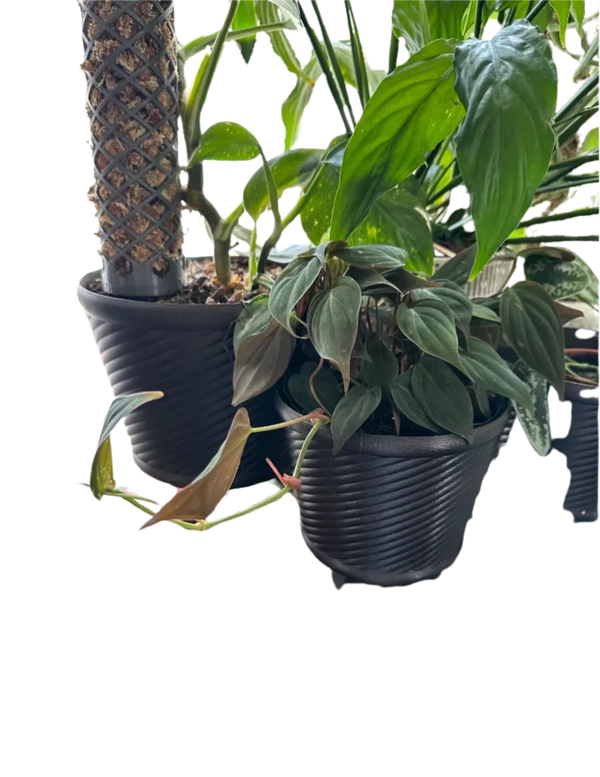 Spiral Planter with Locking Bottom & Optional Legs