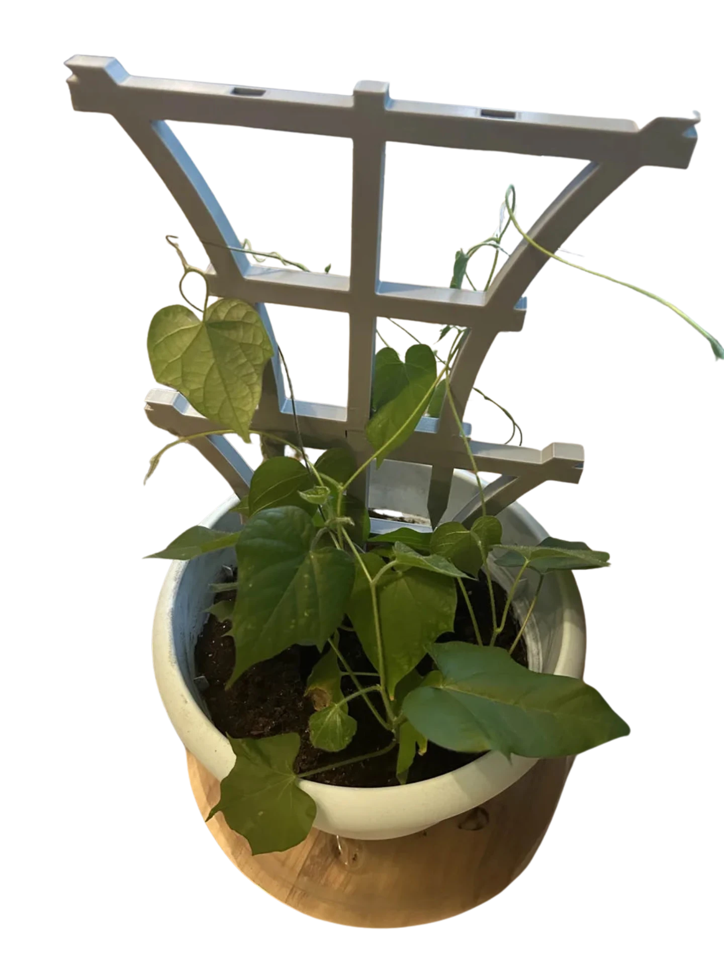 Stackable Trellis