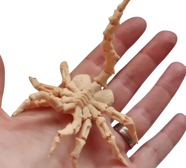 Mini Face Hugger Remixed