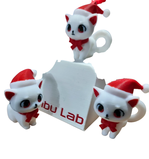 Cute Festive Cat
