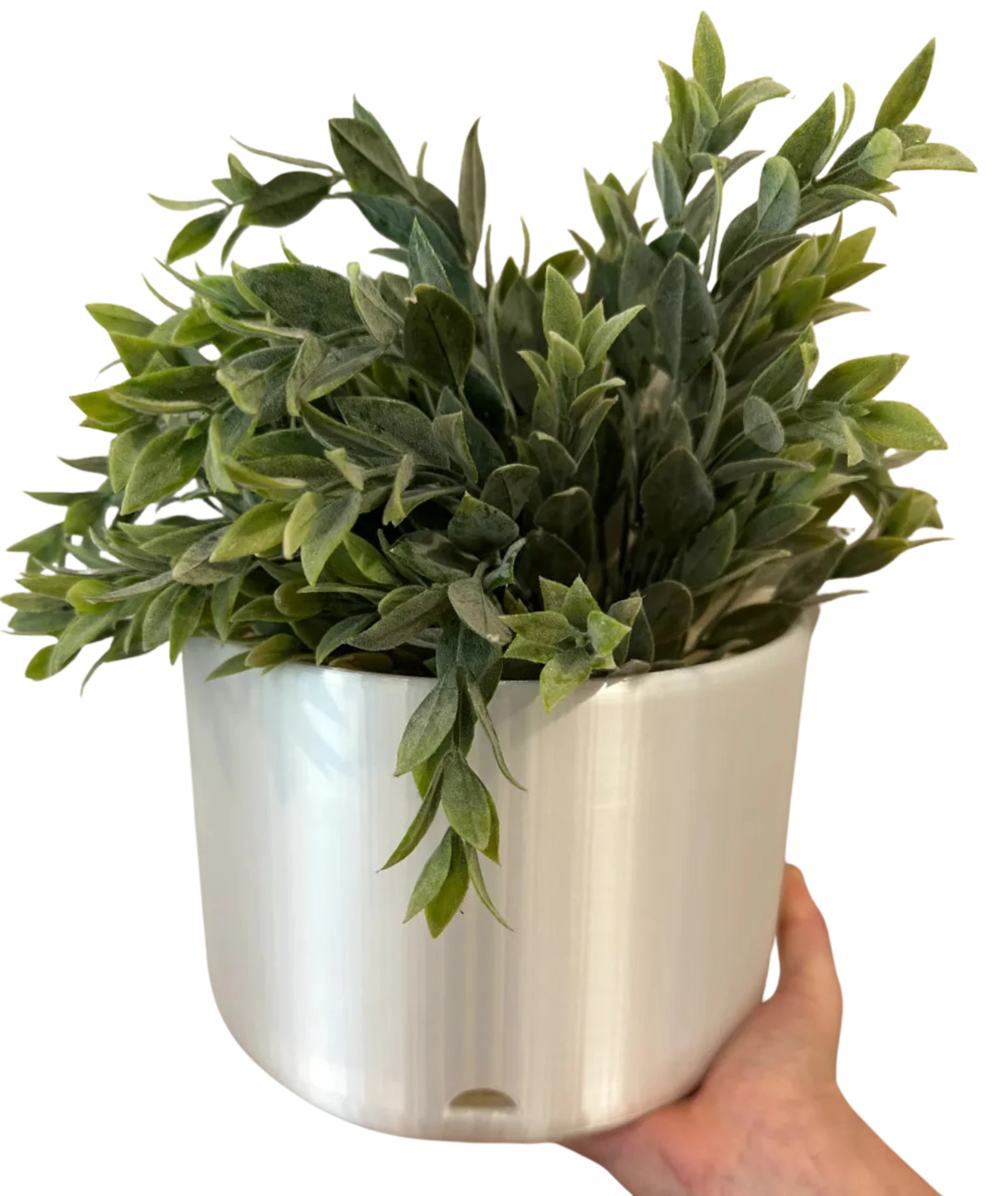 Wall Mounted Plant Pot