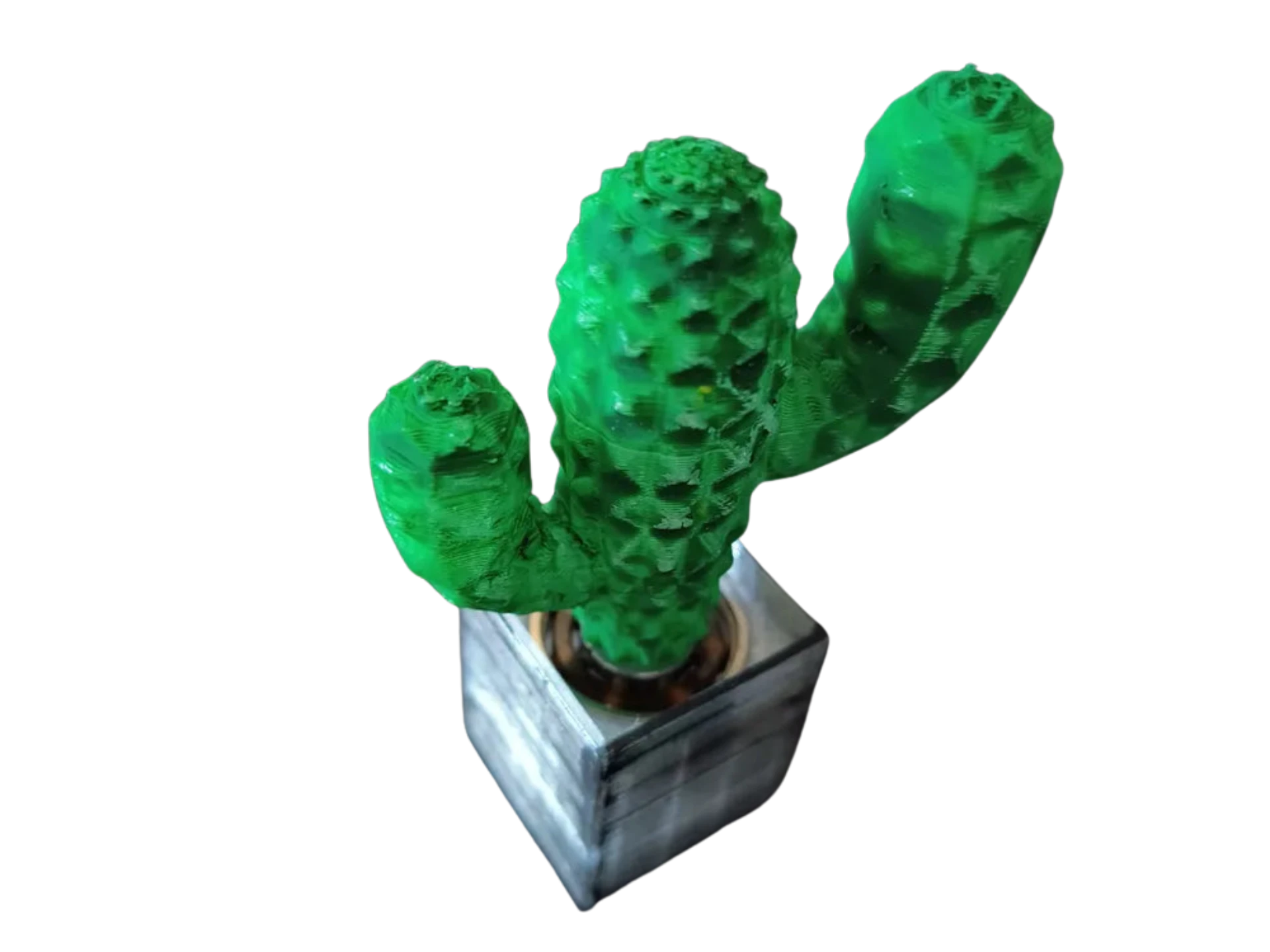 Fidget Plants Mini