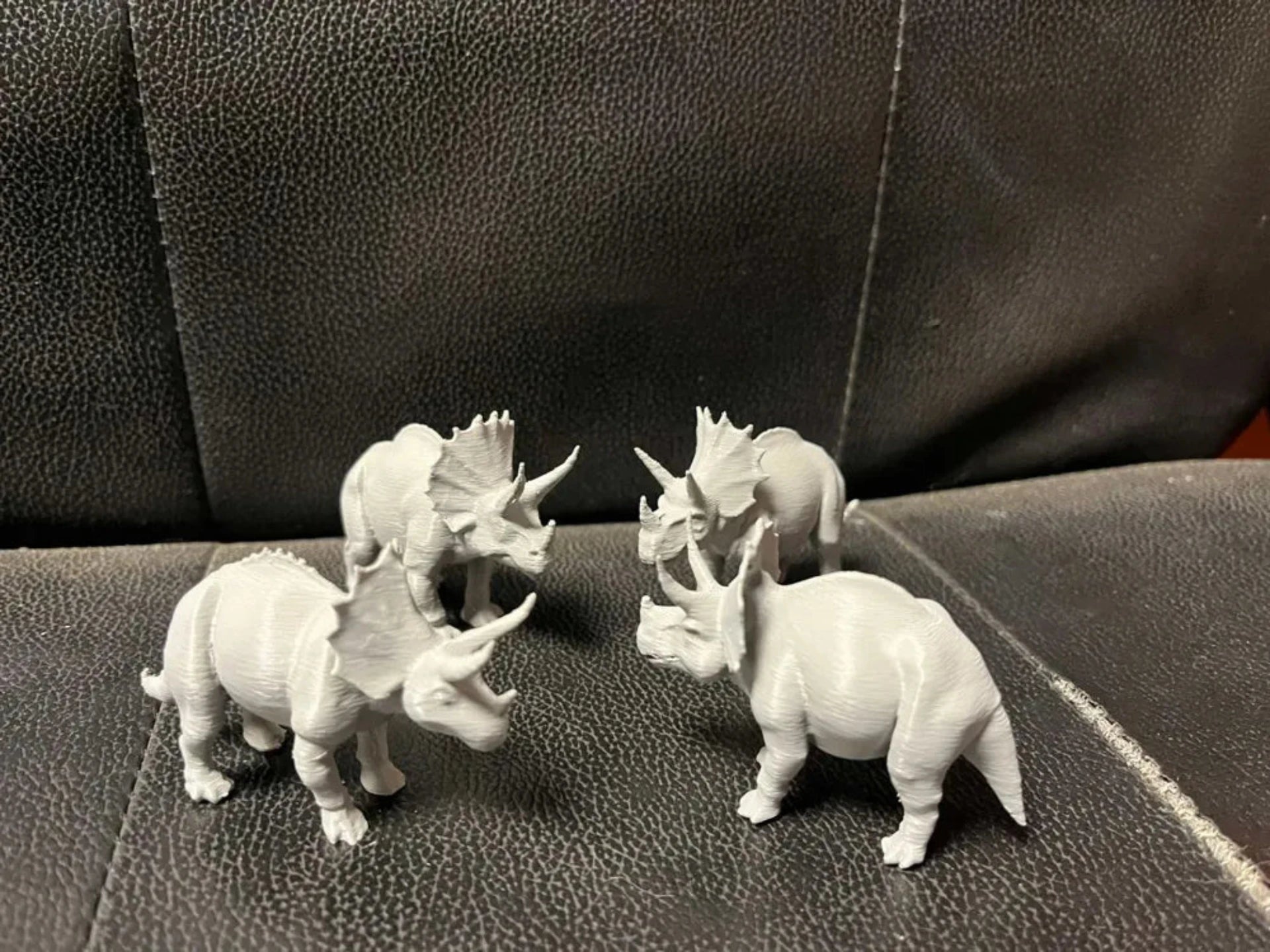 Triceratops dinosaur
