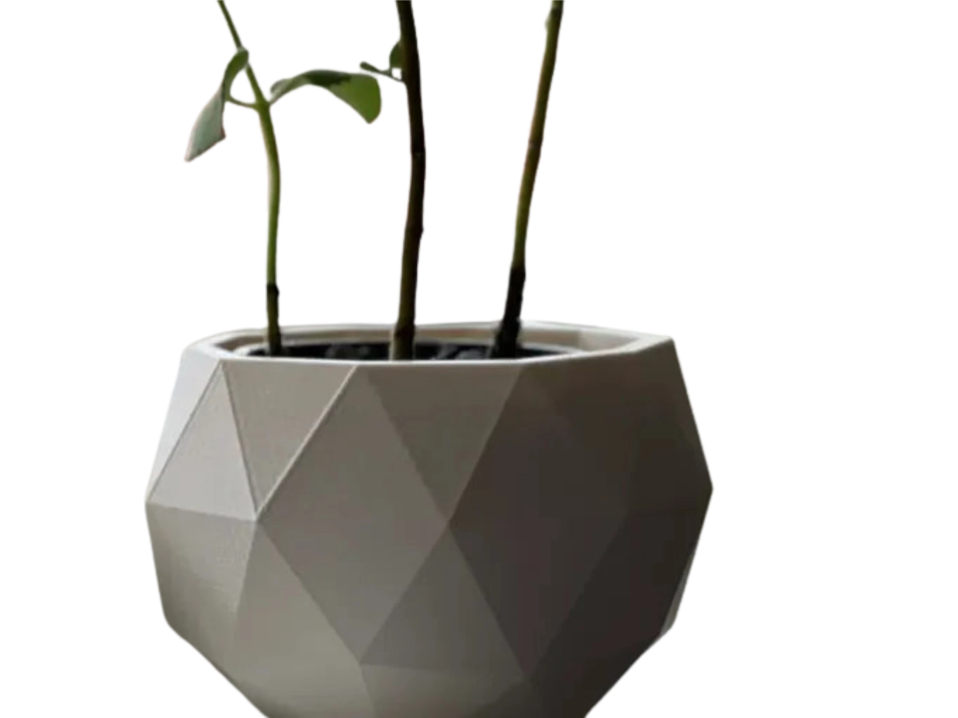 Poly Planter Pot