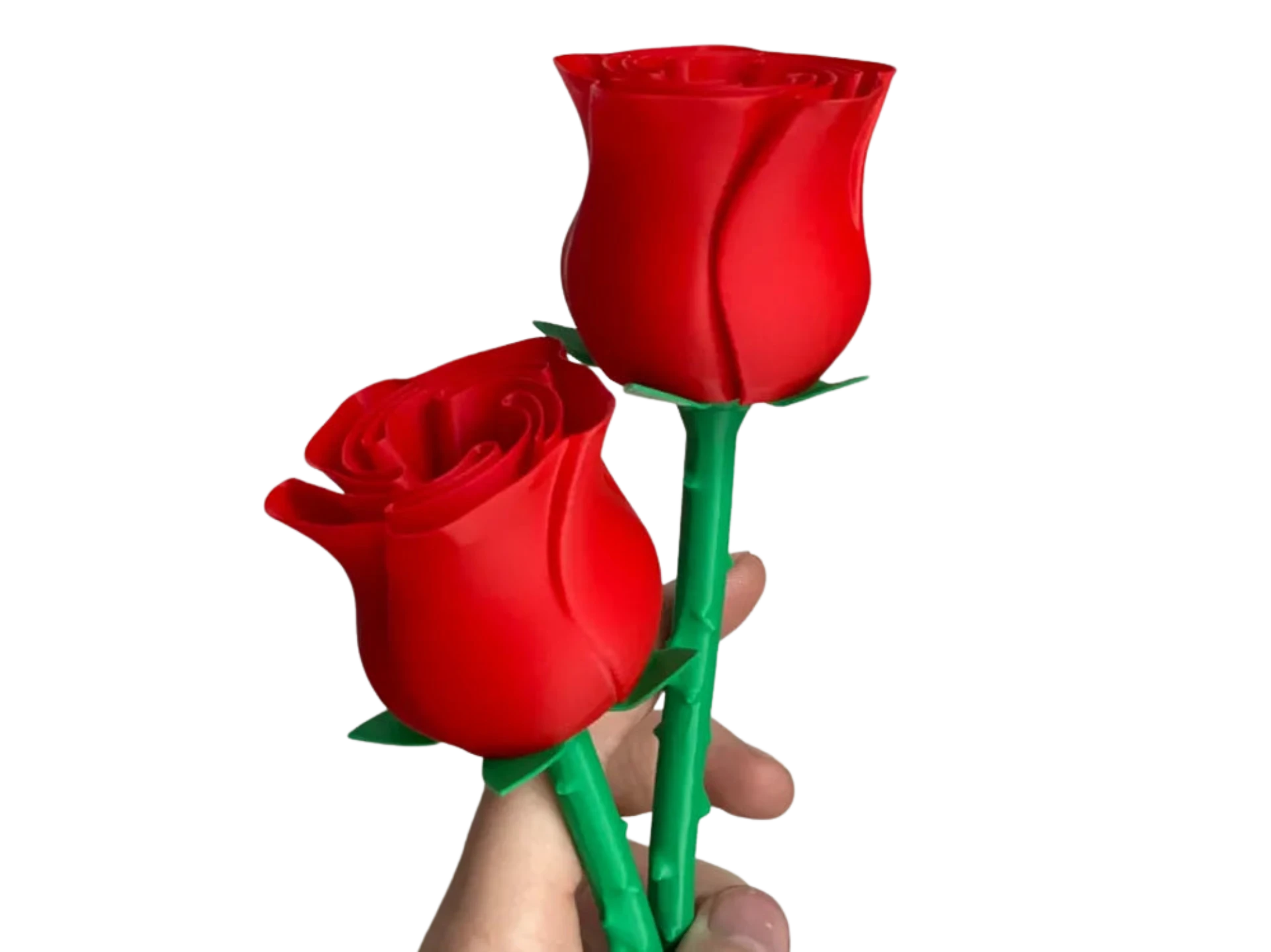 Beautiful Rose w Stem - International Woman’s day Remixed