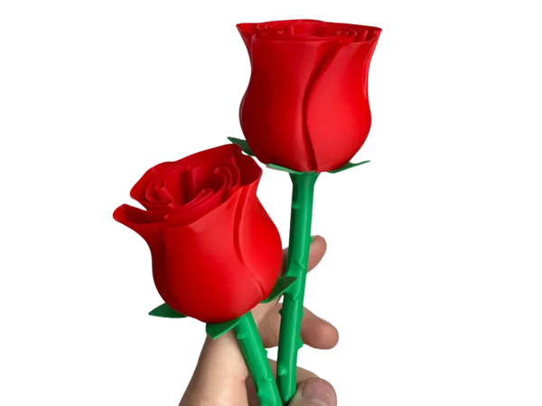 Beautiful Rose w Stem - International Woman’s day Remixed