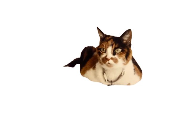 Brick 4x6 Picture Frame