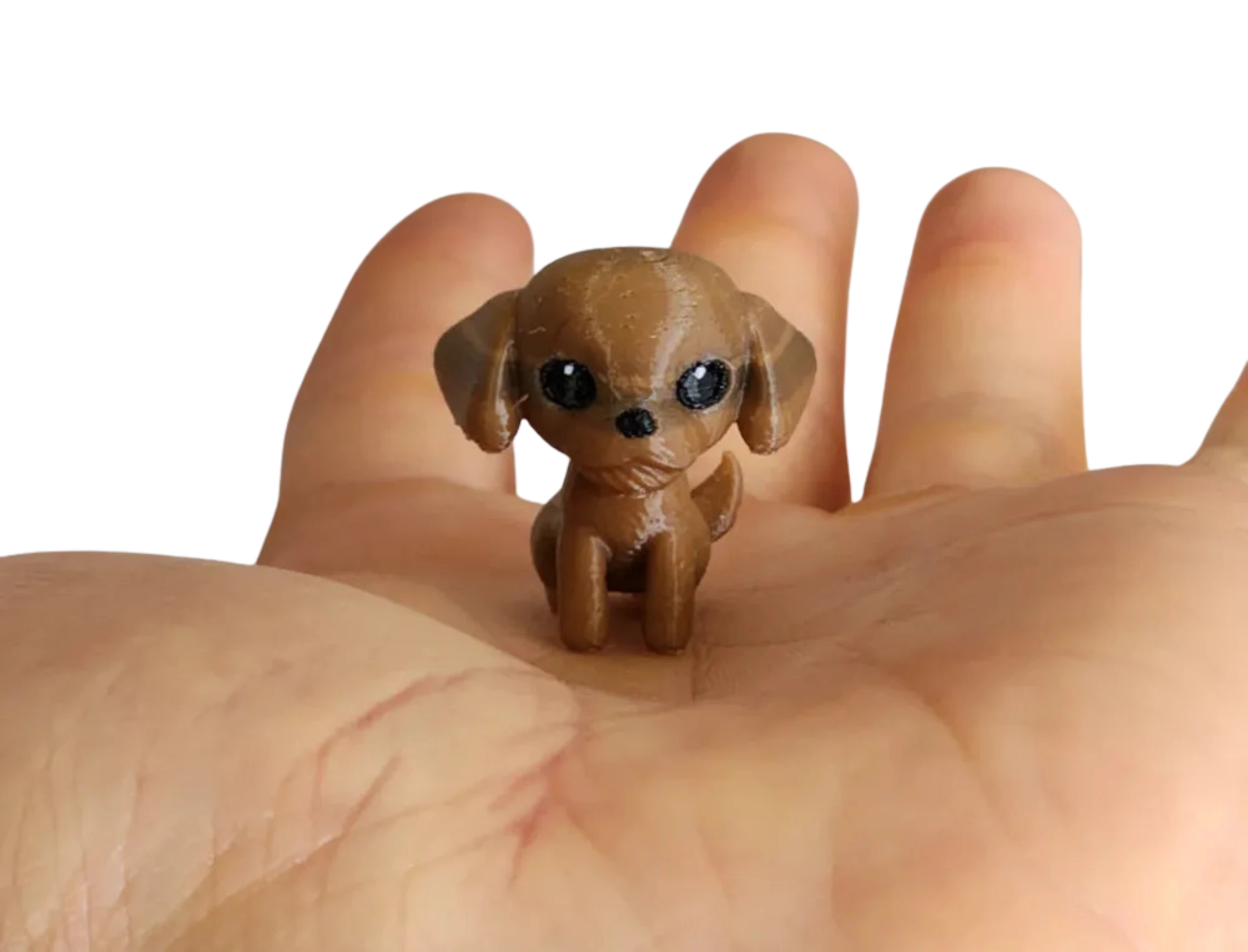 Cute Cavoodle Dog, Toy, puppy, miniature