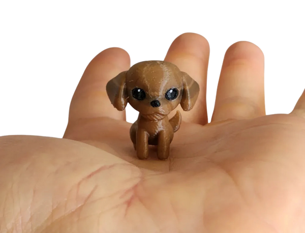 Cute Cavoodle Dog, Toy, puppy, miniature