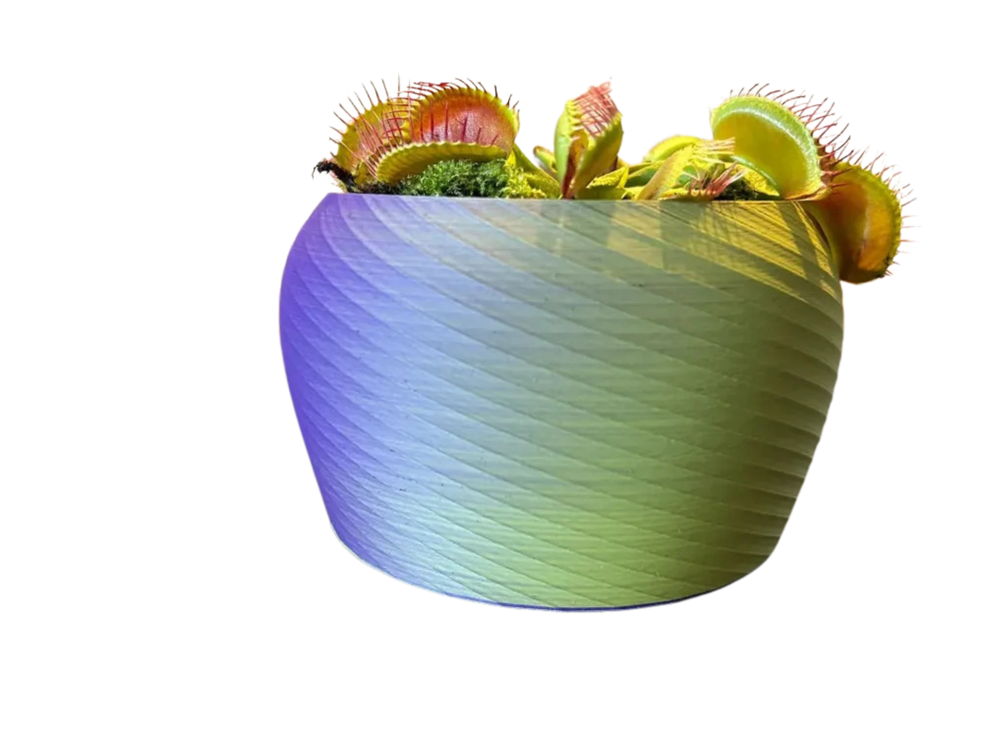 Planter pot / Flower pot / Blumentopf 016