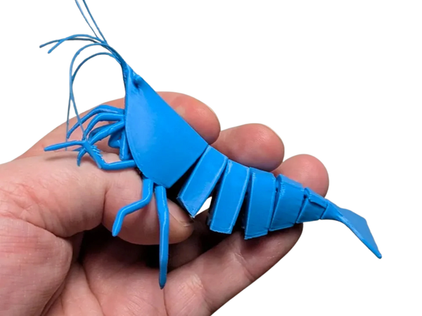 Articulated Shrimp