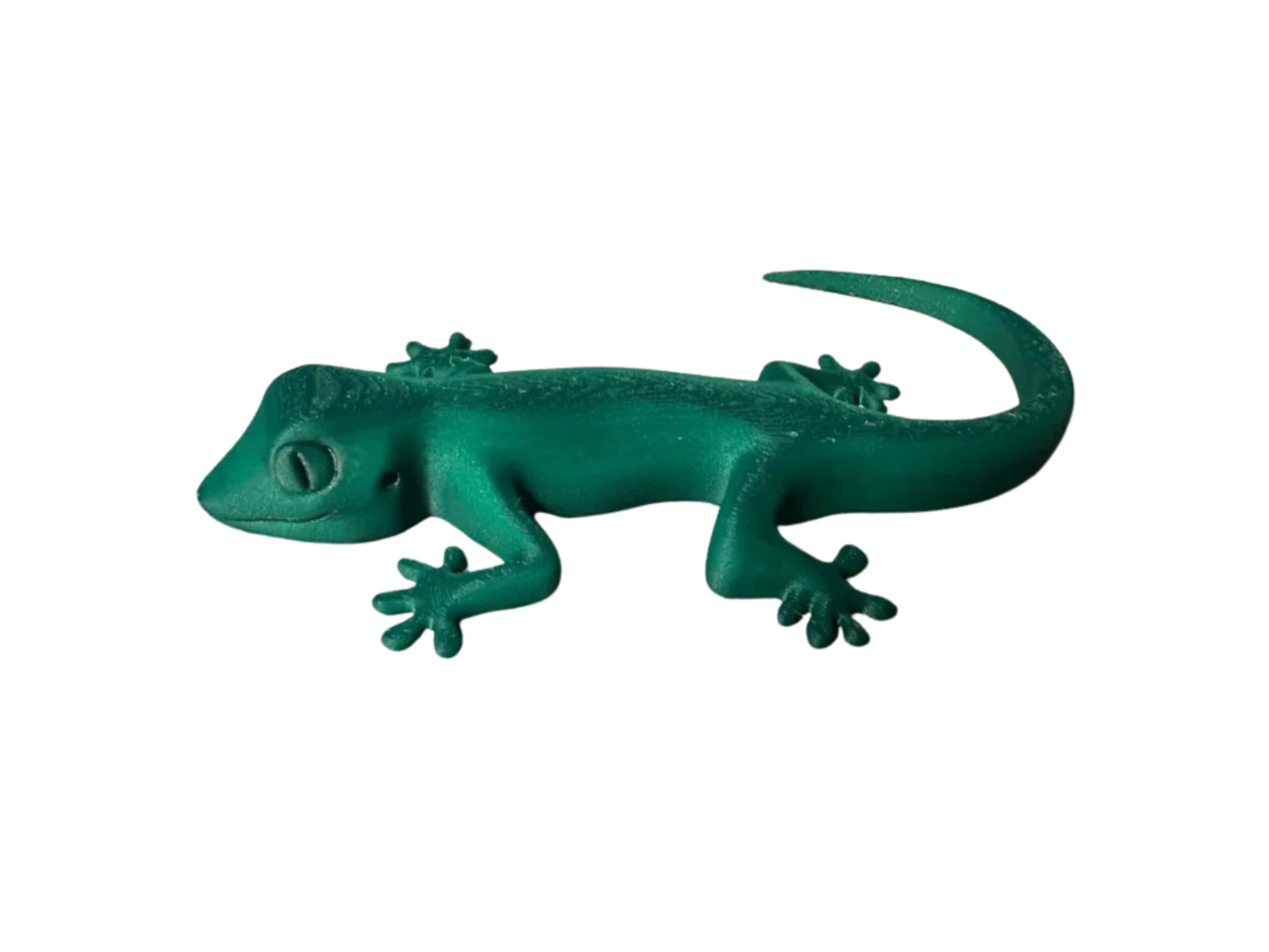 Gecko Magnet Refrigerator