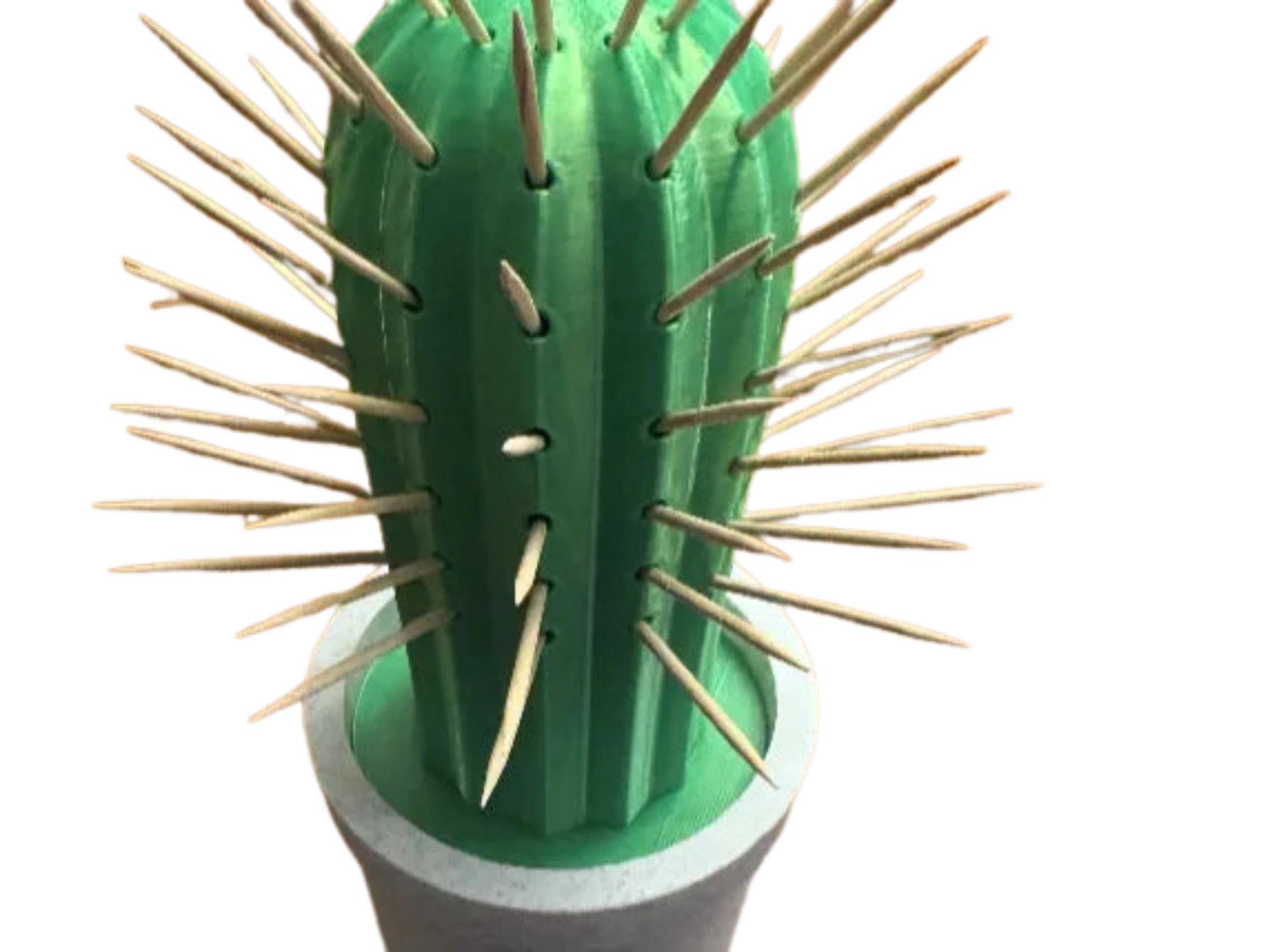 Cactus Toothpick Holder With Pot Remixed