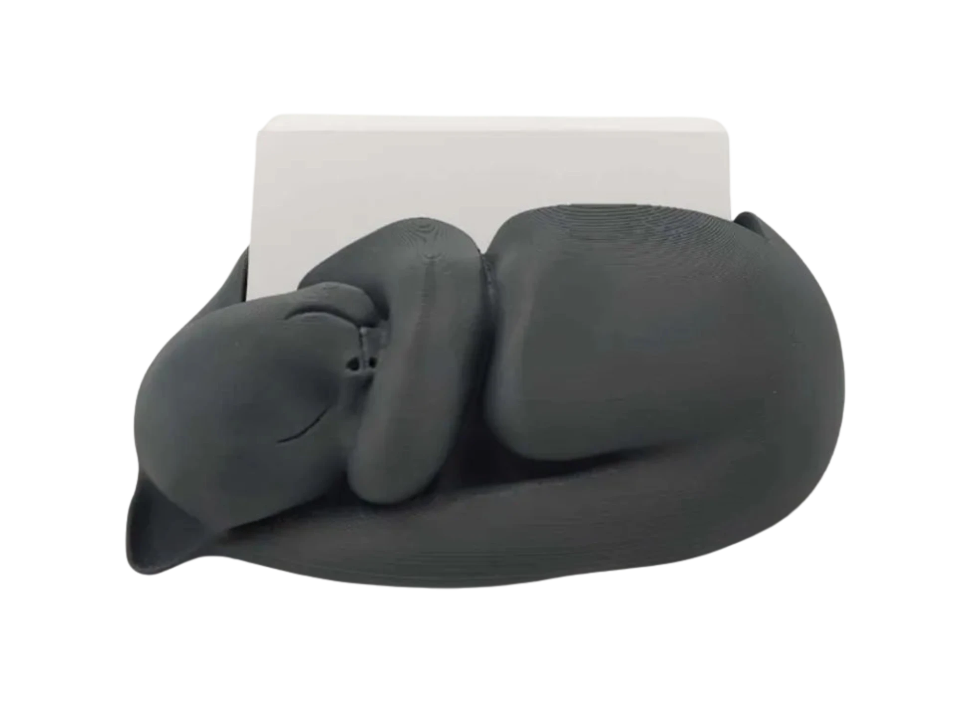 Adorable Sleeping Cat Business Card Holder Remixed