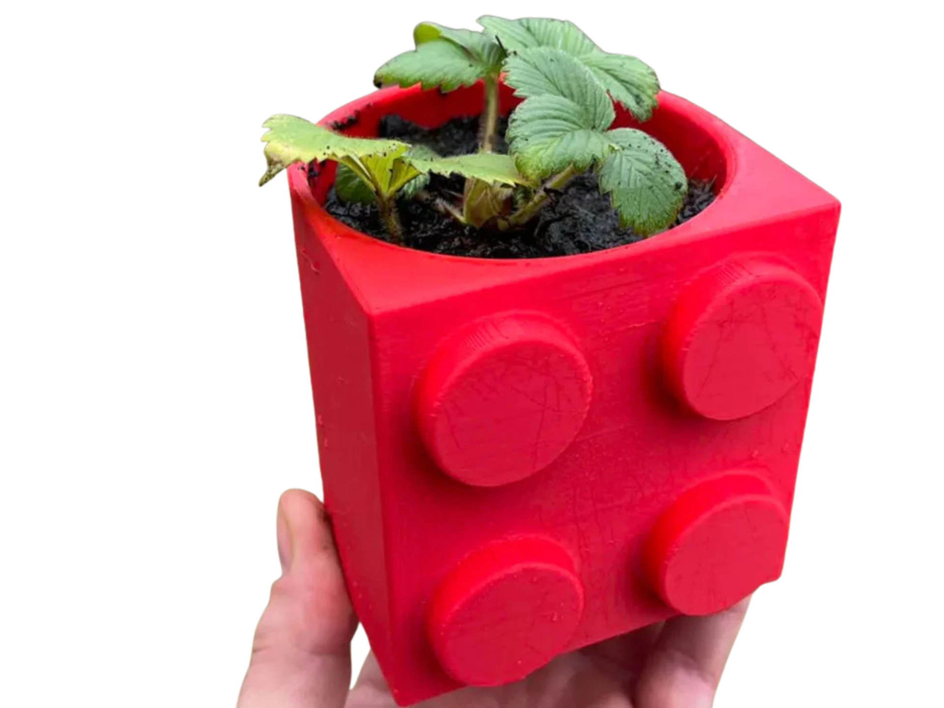 Brick, block Flowerpot, Vase
