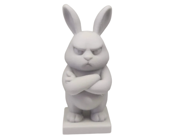 Angry Bunny