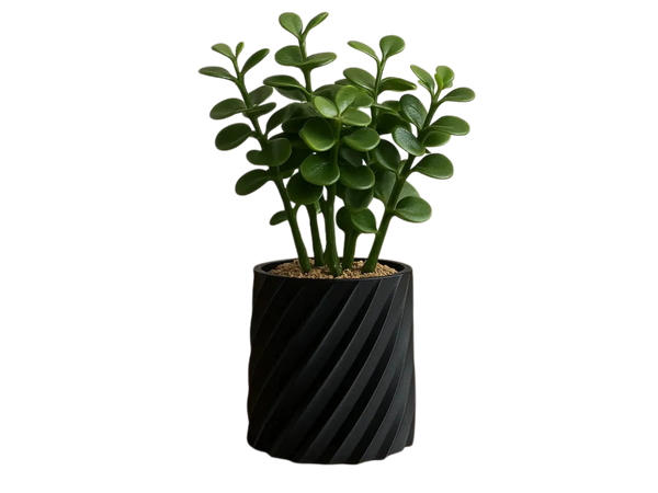 Sleek vase compatible with most small flowers