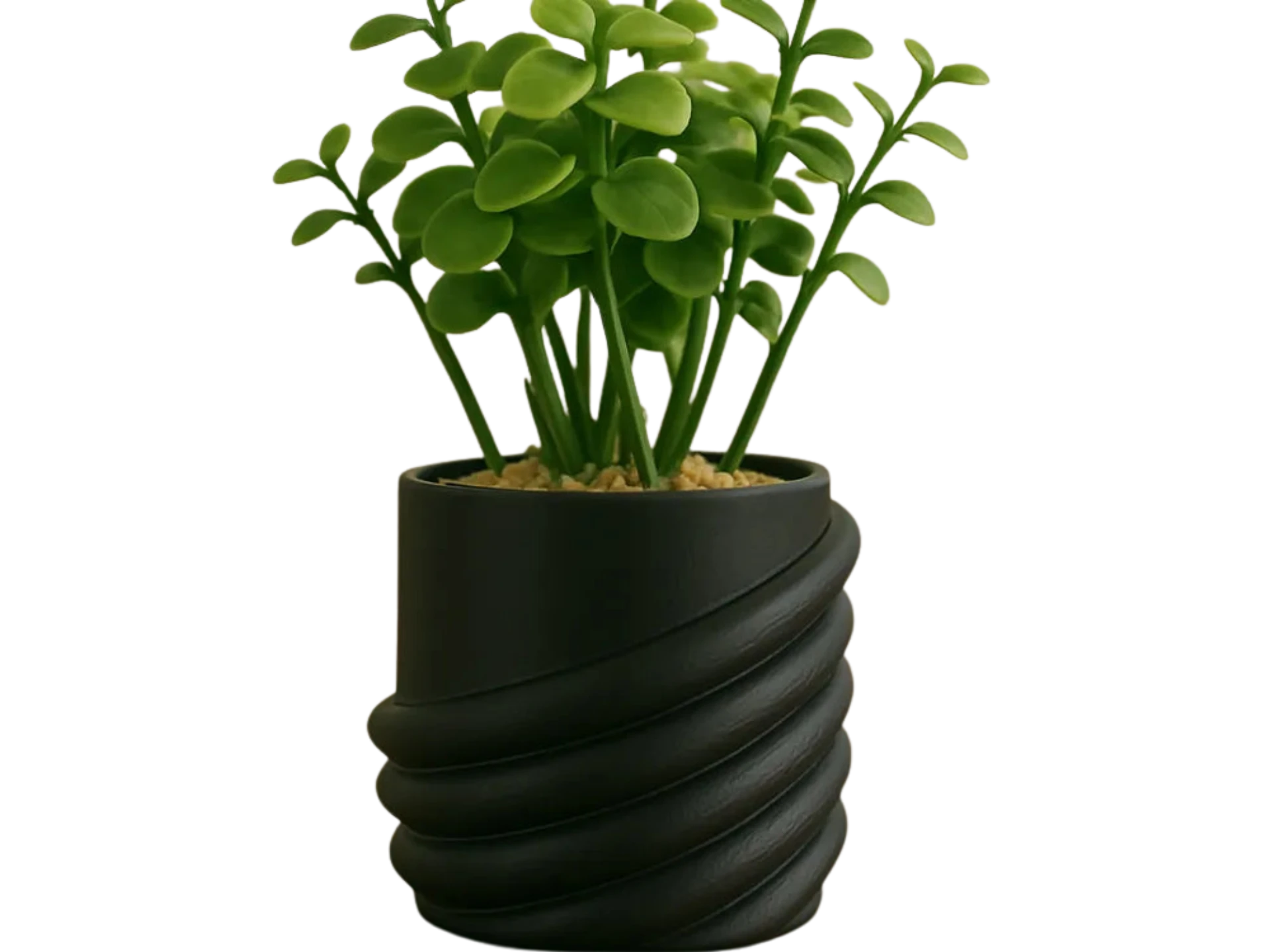 Elegant Chique Spiral Planter