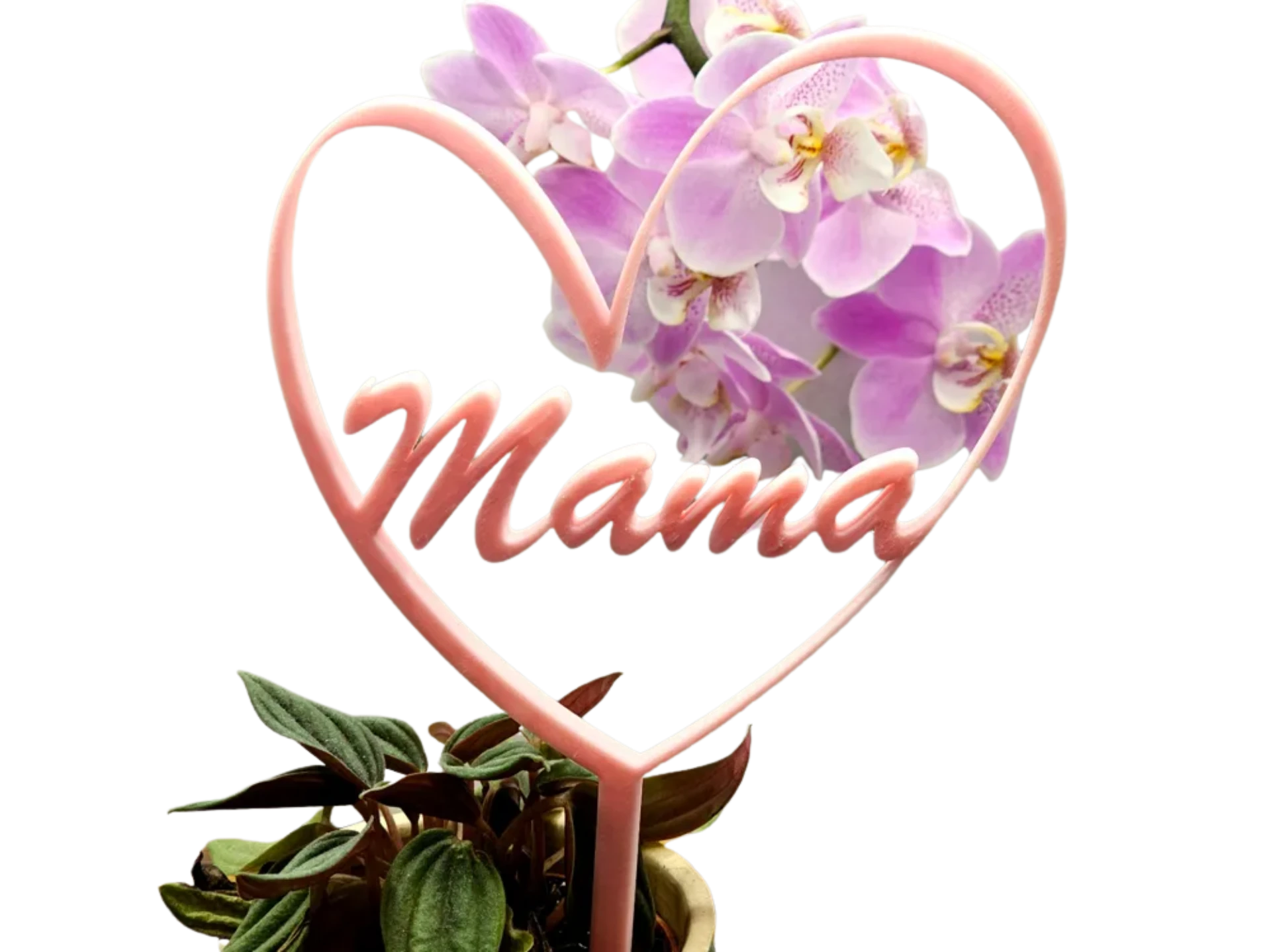 Plant and cake topper Mama Mothers Day Muttertag