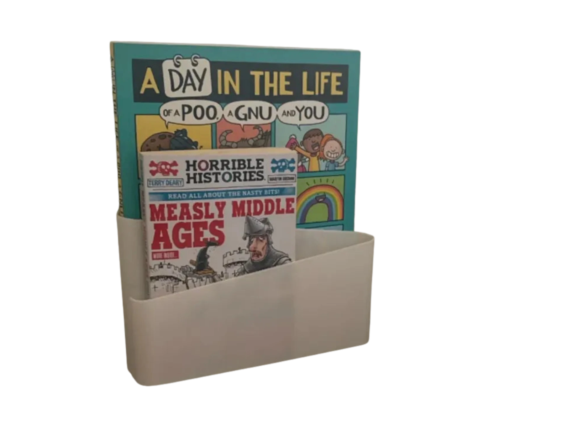 Newspaper and magazine wall holder